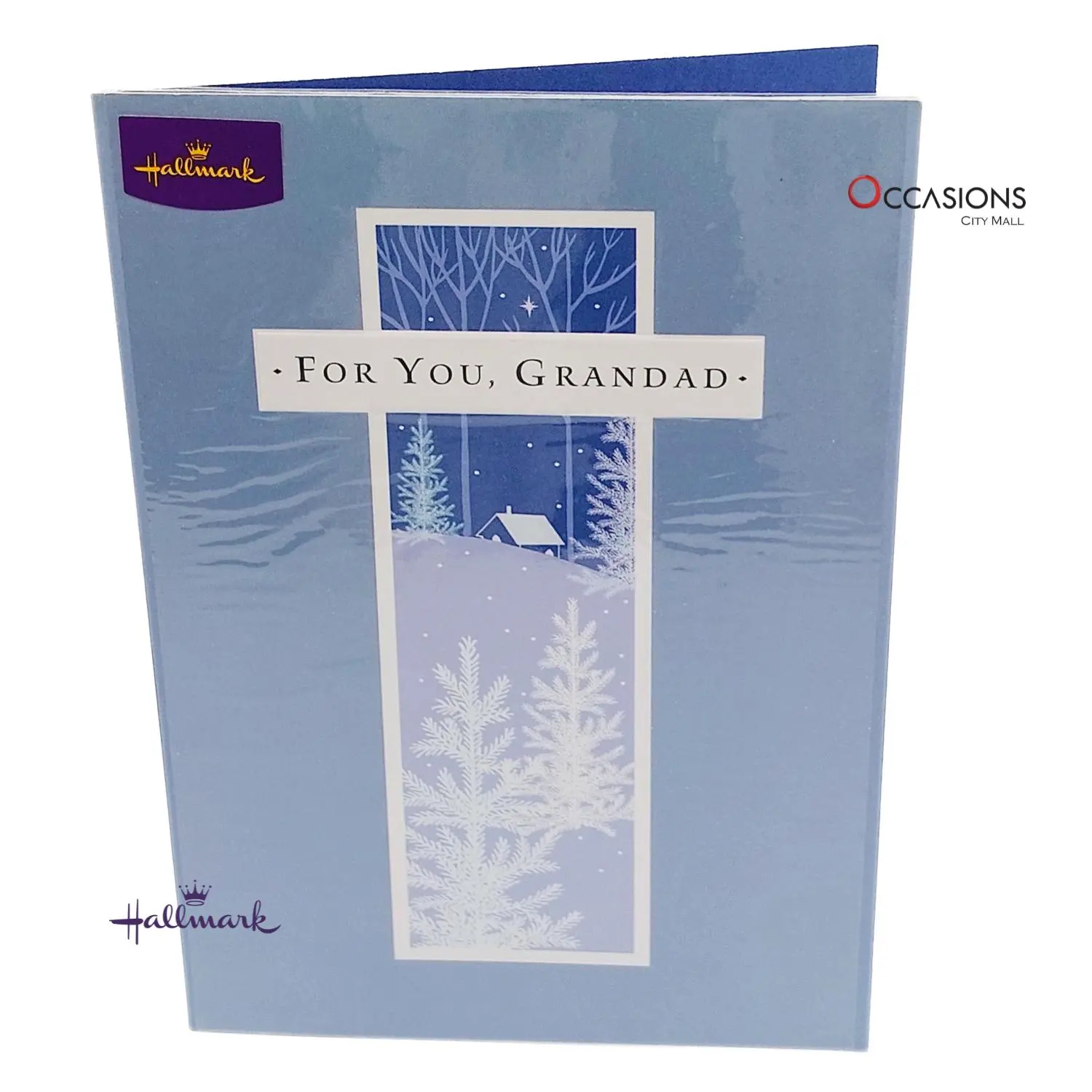 2025-10-11 16.12.57.as Christmas Cottage Grandad Card