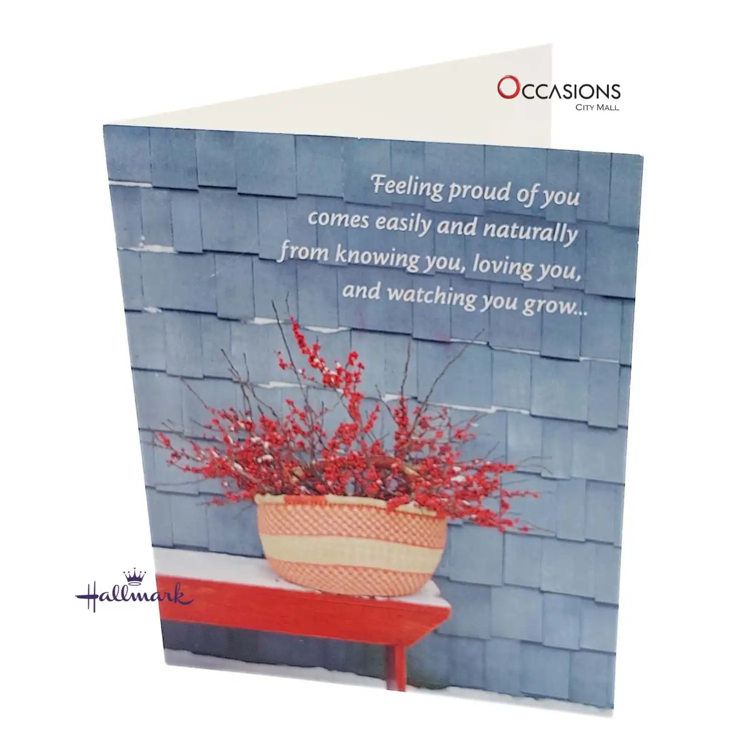 2025-10-20 12.26.40.as Christmas Pride Card