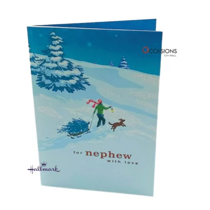 Christmas Journey Nephew Card