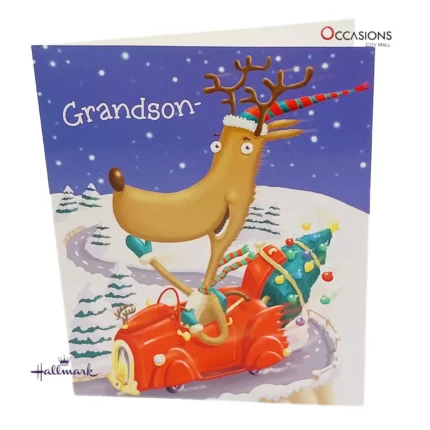 Christmas Speed Reindeer card