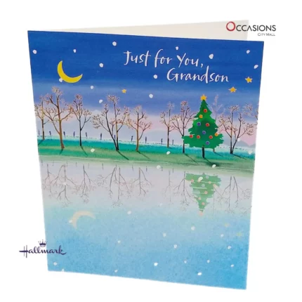 Peaceful Christmas Grandson Card