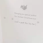 Christmas Bear Delivery for Grandson