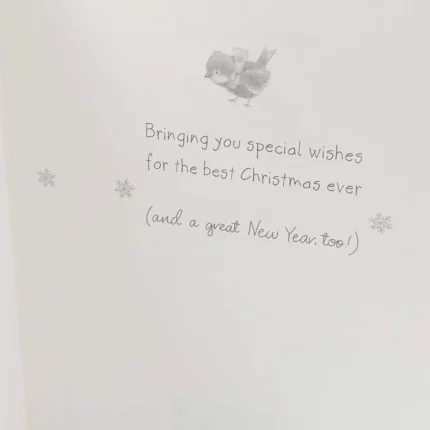 Christmas Bear Delivery for Grandson